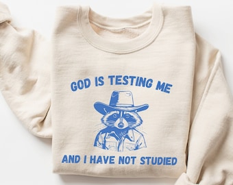 God Is Testing Me and I Have Not Studied Sweatshirt, Funny Sweatshirt, Unisex Sweatshirt, Vintage Sweatshirt, Meme Sweatshirt, Retro Shirt