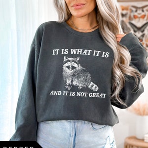 Sudadera Es lo que es y no es genial, Sudadera Comfort Colors, Sudadera divertida, Sudadera vintage, Camisa Meme, Salud mental