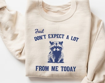 May include: A beige sweatshirt with a blue graphic of a raccoon and the text "Just Don't Expect A Lot From Me Today".