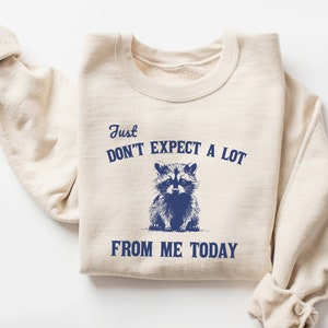 Don't Expect A Lot From Me Today Sweatshirt, Funny Sweatshirt, Raccoon Shirt, Vintage Retro Graphic Shirt, Sarcastic Sweatshirt, Meme Shirt