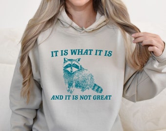 It Is What It Is And It Is Not Great Hoodie, Meme Hoodie, Vintage Sweatshirt, Raccoon Sweatshirt, Funny Hoodie, Mental Health Hoodie