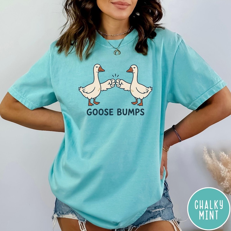 Puede incluir: Una camiseta de manga corta de color azul claro con un gr&aacute;fico de dos gansos blancos chocando los pu&ntilde;os. Debajo de los gansos, el texto GOOSE BUMPS est&aacute; impreso en letras may&uacute;sculas de color azul oscuro. Tiene cuello redondo.