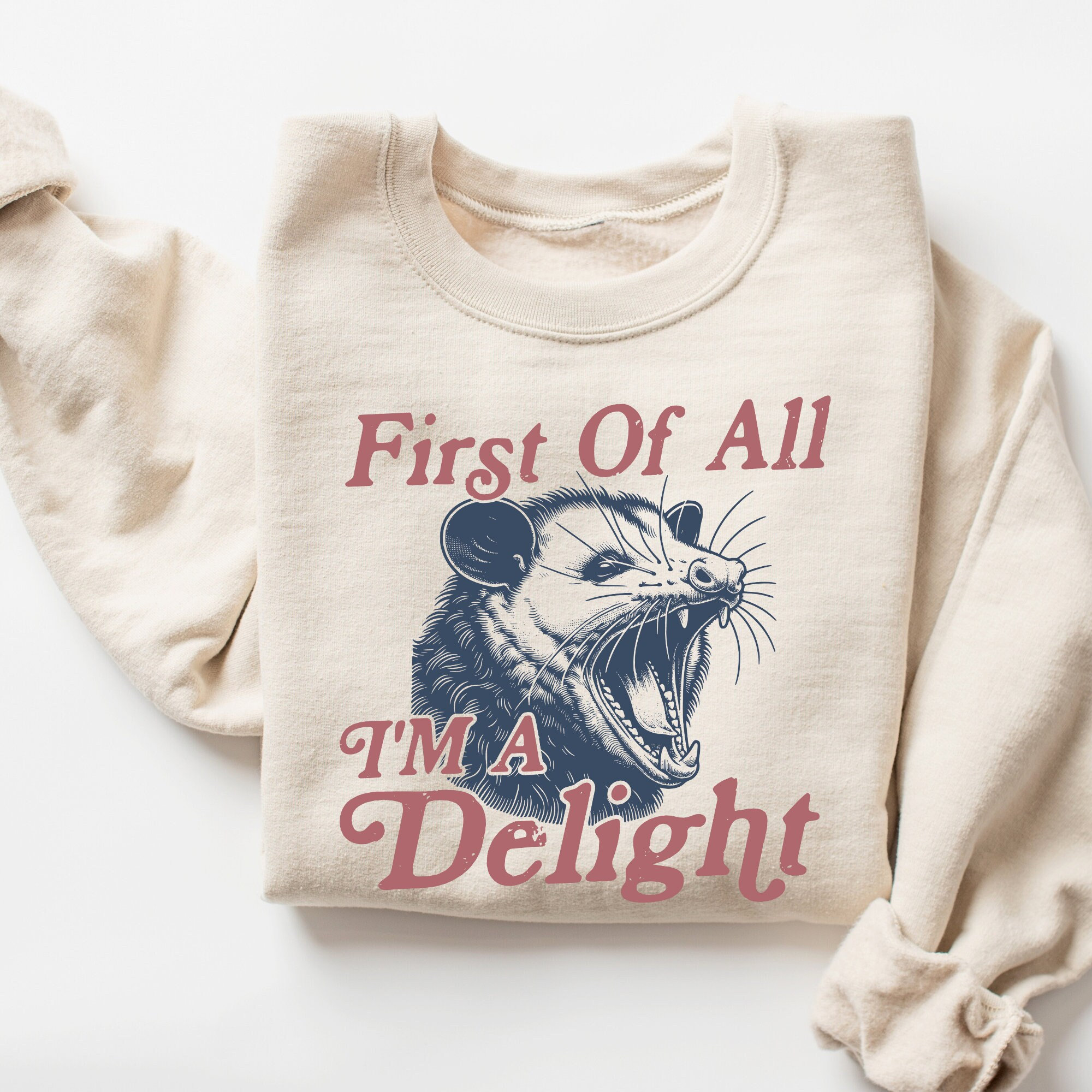 I'm a Delight Sweatshirt, Funny Sweatshirt, First of All, Vintage Retro Graphic Shirt, Mental Health Shirt, Possum Shirt, Humor Sweatshirt