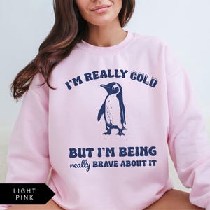 May include: Light pink sweatshirt with a penguin graphic and the text "I'm really cold but I'm being really brave about it."