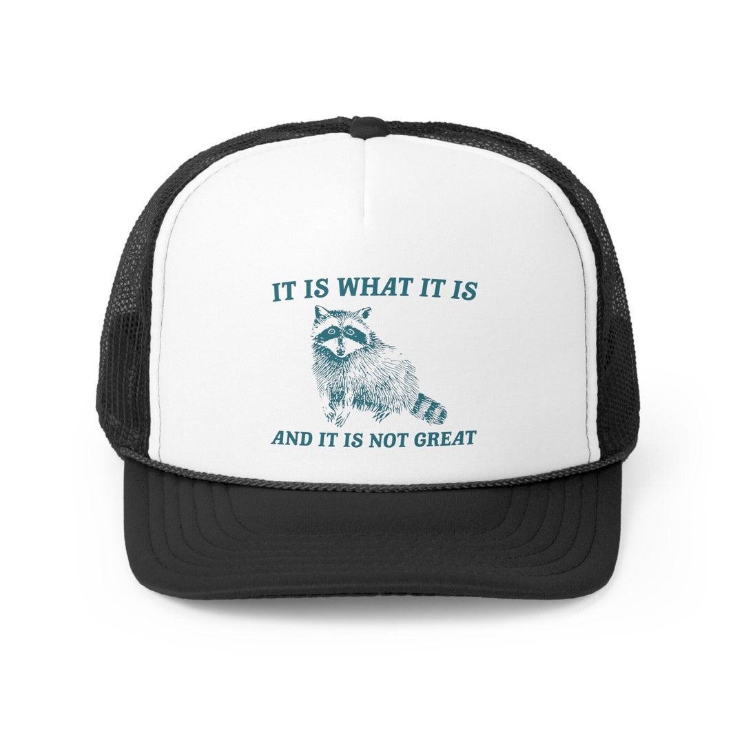 It is What It is and It's Not Great Hat, Raccoon Hat, Funny Trucker Hat