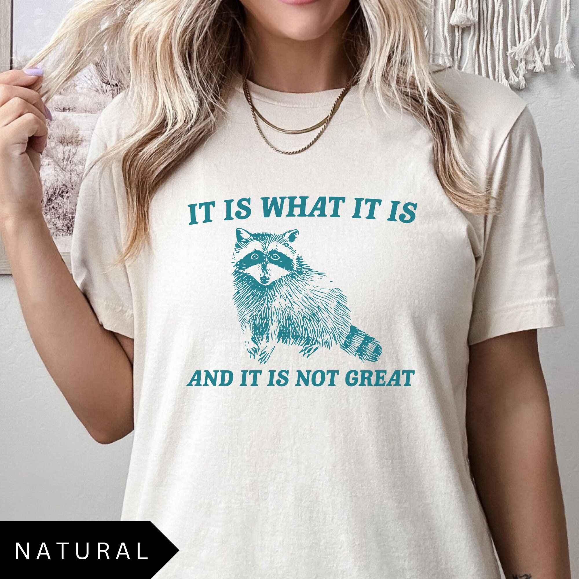 It Is What It Is And It's Not Great T-Shirt, Meme Shirt, Vintage T shirt, Raccoon Shirt, Mental Health Shirt, Funny T-shirt, Unisex T-Shirt
