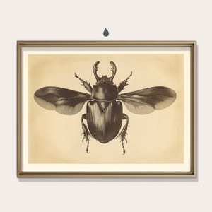 Vintage Scarab Beetle Print, Black and White Art, Moody Antique Entomology, Goblincore, Dark Academia, Printable Wall Art, Digital Download