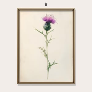 Purple Thistle Watercolor, Calm Green & Bold Purple Flower, Vintage Nature Boho Decor, Country Farm, Printable Wall Art, Digital Download