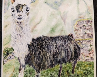 Llama Watercolor Limited Giclee Print