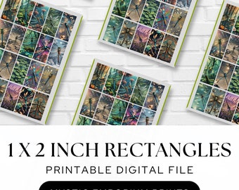 Butterflies and Dragonflies - Digital Collage Sheet - 1 X 2 Inch Domino ...