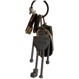 Roz The Wild Robot Keychain