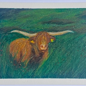 Oil Pastel Drawing, Original Oil Pastel Art, Oil Pastel Highland Cow, Cow Art, Cow Drawing, Drawing, Art, Highland Cow Drawing