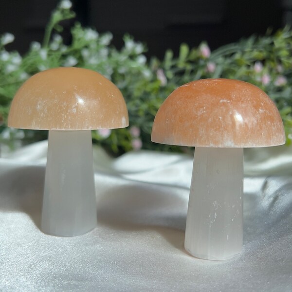 Selenite Mushroom