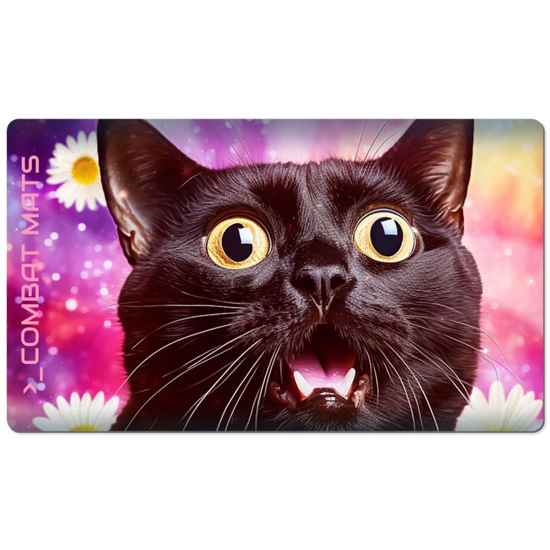 Scared Cat Signs 24x14 Scared Cat - Etsy