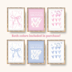 Light pink and blue pastel toile floral print with shack fancy arkansas fayetteville preppy wall art prints coquette dainty frilly aesthetic