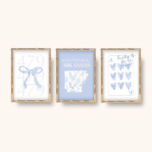 Baby blue bows and toile floral print coquette arkansas college wall art prints dorm decor