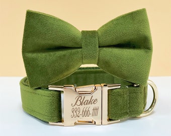 Personalisiertes Hundehalsband - Individueller Name - Individuelles Hundehalsband - Geschenk für Hund - Hochzeit Hundehalsband - Individuelles Namenshalsband 2024