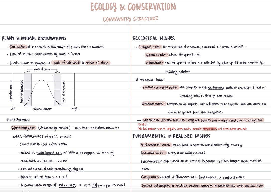 IBDP Biology SL Option C Revision Notes may 2023 - Etsy