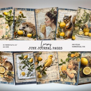 Lemon Junk Journal Pages, Vintage Citrus Ephemera, Printable Yellow Botanical Paper, Lemon Orchard Scrapbook Kit, Shabby Chic Printables LM