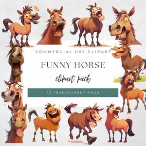 Funny Horse Clipart, Quirky Horse Clipart Pack, 12 PNGs, 12x12 inch, 300 DPI, Commercial Use, POD, Digital Download FH