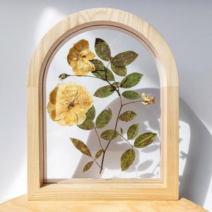 Op de afbeelding: Een ingelijst botanisch kunstwerk met gedroogde gele rozen en groene bladeren. De bloemen en het blad zijn gerangschikt in een heldere glazen ruit, geplaatst in een lichtgekleurde, boogvormige houten lijst. Het natuurlijke licht benadrukt de details.