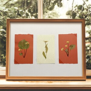 May include: Three pressed flower arrangements in a wooden frame. The flowers are mounted on red and cream paper. The frame is on a wooden surface.