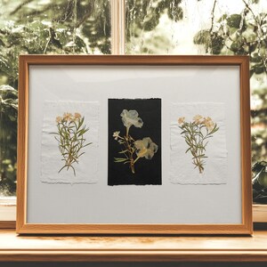 May include: A framed botanical art piece featuring three pressed flower arrangements. Two arrangements are on white paper, and one is on black paper. The frame is made of light brown wood, and the background is a window with greenery.