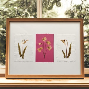 May include: A framed botanical art piece featuring pressed flowers and ferns. The artwork is composed of three sections: two white paper backgrounds with pressed flowers and ferns, and a central pink background with pressed flowers. The frame is made of wood.