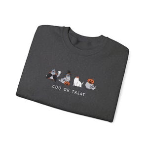 Taube Sweatshirt Halloween Tauben Sweatshirt Taube Geschenke Geschenk für Vogelbeobachter Halloweenshirt Tier Hexe Hut Kürbis Halloween Sweatshirt Dark Heather