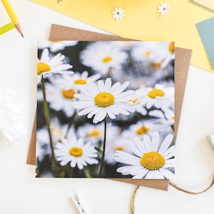 Daisy-wenskaart, bloemengroetkaart, fotografische botanische wenskaarten, bloemen verjaardagskaart, blanco notitiekaarten, bedankkaart