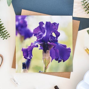 Tarjeta de felicitación con iris barbudo morado, tarjeta de felicitación floral, tarjetas de felicitación botánicas, tarjeta de cumpleaños floral, tarjeta de nota en blanco, agradecimiento