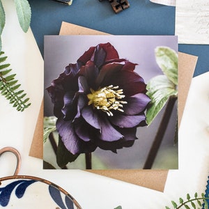 Carte de voeux hellébore pourpre, carte de voeux florale, cartes de voeux botaniques, carte d'anniversaire florale, cartes de correspondance vierges, merci