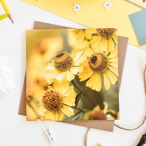 Helenium Greeting Card, Floral Greetings Card, Yellow Botanical Greeting Cards, Floral Birthday Card,  Blank Note Cards, Thank You