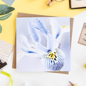 Wenskaart blauwe iris, bloemengroetkaart, botanische wenskaarten, bloemenverjaardagskaart, blanco notitiekaarten, bedankt