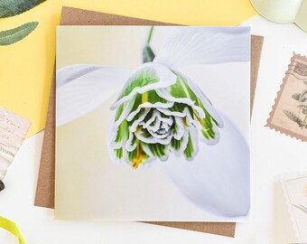 Snowdrop Greeting Card, Floral Greetings Card, Botanical Greeting Cards, Floral Birthday Card, Blank Note Cards, Thank You