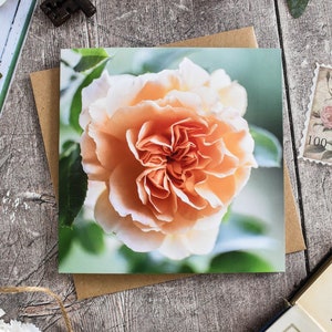 Wenskaart oranje roos, bloemen notitiekaart, botanische wenskaarten, bloemen verjaardagskaart, blanco notitiekaarten, Engelse rozen