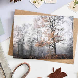 Carte forêt d'hiver, carte de voeux automne, cartes de voeux botaniques, cartes vierges, carte d'anniversaire d'arbres, cartes de correspondance d'arbres