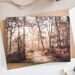 see more listings in the Cartes toutes occasions section