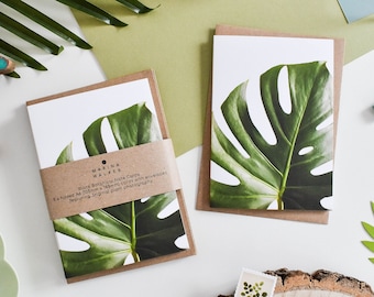 May include: A set of five blank botanical note cards with envelopes, featuring original plant photography. The cards are folded to a size of 4 inches by 1.9 inches. The cards are packaged in a brown paper envelope with a black label that reads "Blank Botanical Note Cards, folded A6 (100mm x 148mm) cards with envelopes, featuring original plant photography."
