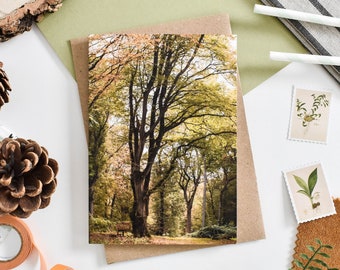 Autumn Trees Card, Woodland Greeting Card, Botanical Greeting Cards, Landscape Card, Trees Birthday Card, Trees Note Cards