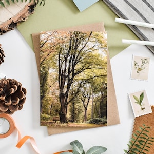 Tarjeta con árboles de otoño, tarjeta de felicitación con motivos forestales, tarjetas de felicitación botánicas, tarjeta con paisaje, tarjeta de cumpleaños con árboles, tarjetas con notas con motivos de árboles