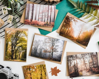 Woodland Fotografie Grußkarten: Herbstbaum Grußkarten Set
