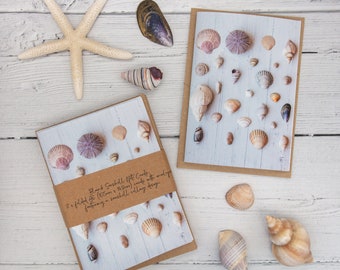 Seashell Note Card Set: Photographic Blank Greeting Cards