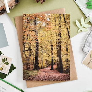 Carte de couleurs d'automne, carte de voeux forêt, cartes de voeux botaniques, carte de paysage, carte d'anniversaire d'arbres, cartes de correspondance d'arbres