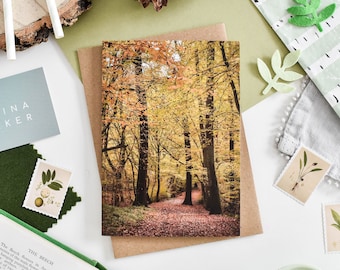 May include: A greeting card featuring a photograph of a path through a forest in autumn. The trees are a mix of yellow, orange, and brown. The path is covered in fallen leaves.