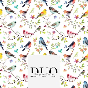 May include: A repeating pattern of colourful birds, butterflies, and floral branches on a white background. The birds are in various colours, including red, blue, yellow, and brown. The image includes the text "DUO Designed Studio".
