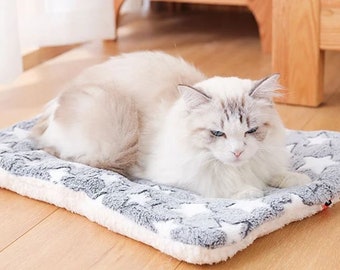 Tapis et couverture épaisse pour animal de compagnie