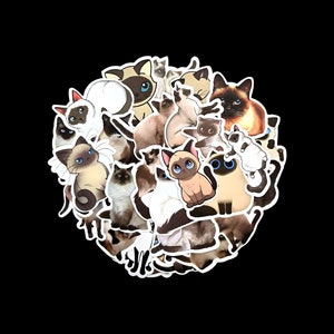 Stickers jolis chats - Stickers chat de l'Himalaya - Chat siamois - Stickers beaux chats - Journal indésirable - Scrapbook - Imperméable - Adorables chatons