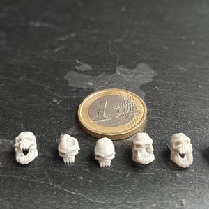 Op de afbeelding: Acht kleine witte plastic schedels met gedetailleerde kenmerken, gerangschikt in een rij op een donkergrijs oppervlak. Een gouden munt is zichtbaar op de achtergrond.
