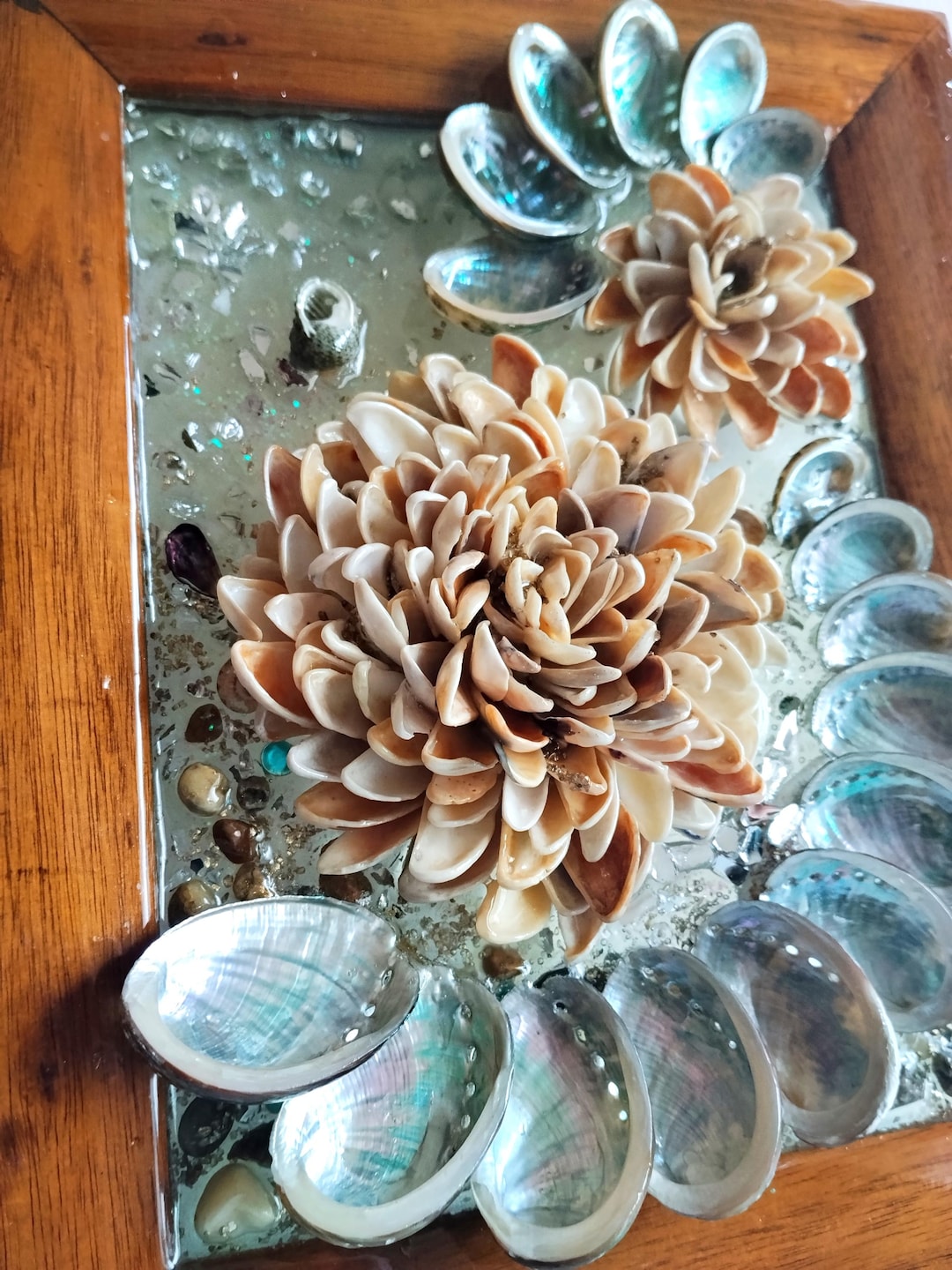 Shell For Wall Abalone Shell Wall Decor • Coastal Artwork • Natural Shells, Resin (8. ...